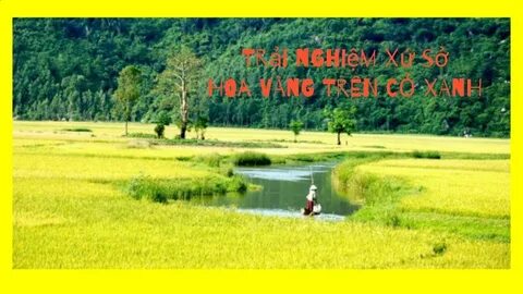 Top 10 trường THPT dễ trúng tuyển lớp 10 nhất TP.HCM năm 2025_Phần mềm biên tập video chuyên nghiệp